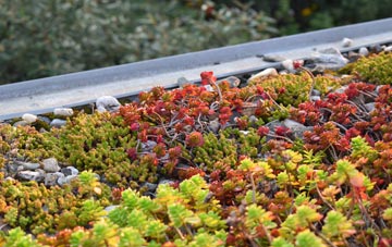 the cost of Trerulefoot green roof installation