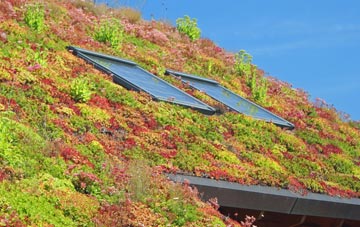 Trerulefoot living roof systems