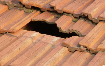roof repair Trerulefoot, Cornwall