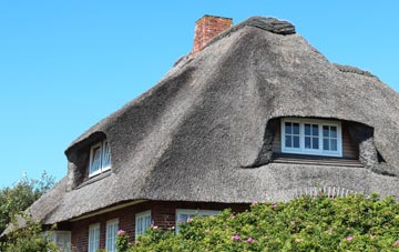 thatch roofing Trerulefoot, Cornwall